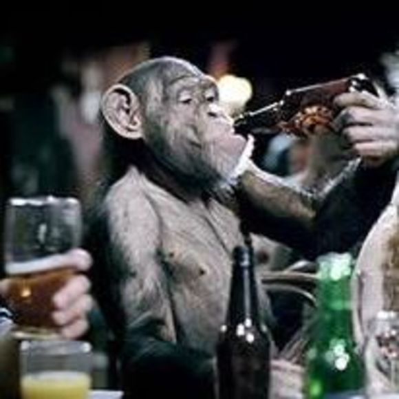 Meet your Posher, Jensen - Picture 1 of 1